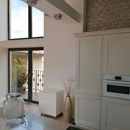 Centrum Luxury Wiew, Theras Appartement Praag